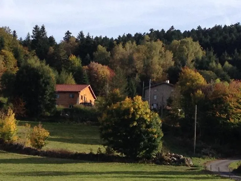 Saint-Sauveur-en-Rue Maison Avec Piscine Couverte 8 Chambres 22 Personnes Au Coeur De La Nature בית נופש